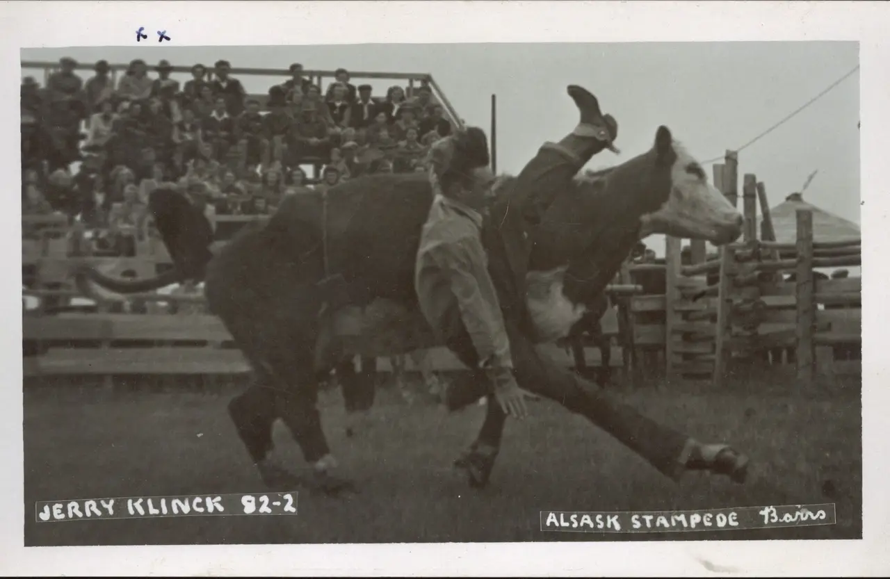 Alsask Stampede: Jerry Klinck steer riding, about 1940s