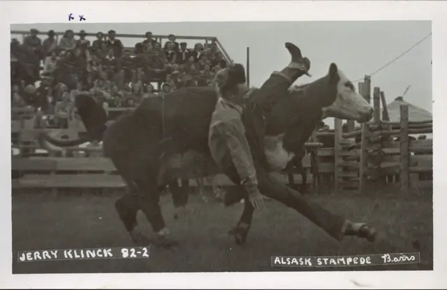 Alsask Stampede: Jerry Klinck steer riding